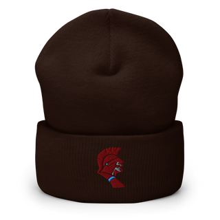 Saint Joseph-Ogden High School Soccer Cuffed Beanie | Yupoong 1501KC