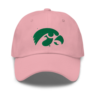 D-R Falcons 66653623 Classic Dad Hat | Yupoong 6245CM