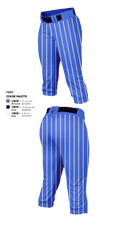 Irvington Preparatory Academy Softball 81081821 Softball Pants - 2