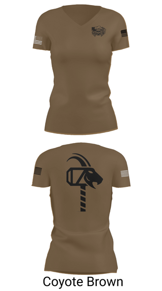 Womens Short Sleeve Vneck Shirt, 900th QM, , Teamtime, Team time, sublimation, custom sports apparel, team uniforms, spirit wear, spiritwear, sports uniforms, custom shirts, team store, custom team store, fundraiser sports, apparel fundraiser