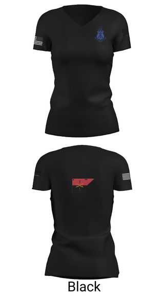Womens Short Sleeve Vneck Shirt, Pershing Rifles Troop L-1, , Teamtime, Team time, sublimation, custom sports apparel, team uniforms, spirit wear, spiritwear, sports uniforms, custom shirts, team store, custom team store, fundraiser sports, apparel fundraiser