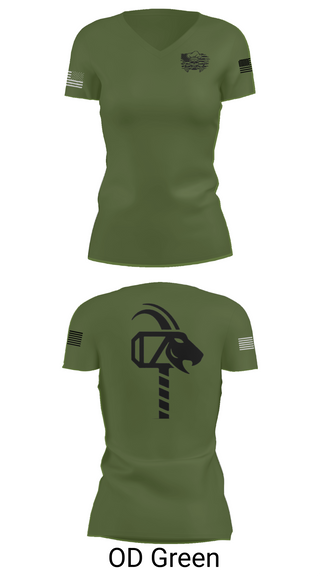 Womens Short Sleeve Vneck Shirt, 900th QM, , Teamtime, Team time, sublimation, custom sports apparel, team uniforms, spirit wear, spiritwear, sports uniforms, custom shirts, team store, custom team store, fundraiser sports, apparel fundraiser