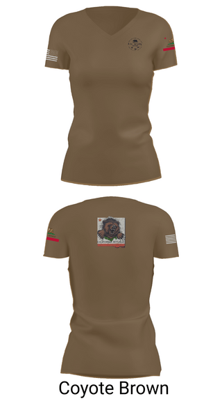 Womens Short Sleeve Vneck Shirt, 1106th TASMG, , Teamtime, Team time, sublimation, custom sports apparel, team uniforms, spirit wear, spiritwear, sports uniforms, custom shirts, team store, custom team store, fundraiser sports, apparel fundraiser