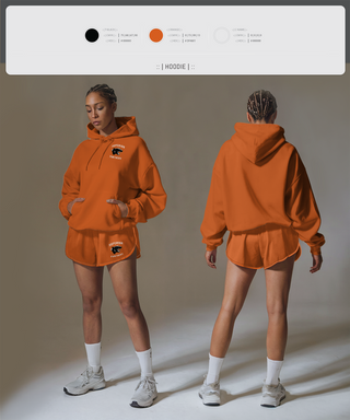 Hoodie, Superior Panthers, Baseball, Teamtime, Team time, sublimation, custom sports apparel, team uniforms, spirit wear, spiritwear, sports uniforms, custom shirts, team store, custom team store, fundraiser sports, apparel fundraiser