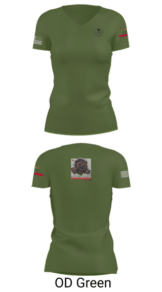 Womens Short Sleeve Vneck Shirt, 1106th TASMG, , Teamtime, Team time, sublimation, custom sports apparel, team uniforms, spirit wear, spiritwear, sports uniforms, custom shirts, team store, custom team store, fundraiser sports, apparel fundraiser