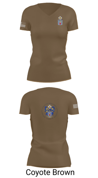 Womens Short Sleeve Vneck Shirt, 1st Battalion, 16th Infantry Regiment, , Teamtime, Team time, sublimation, custom sports apparel, team uniforms, spirit wear, spiritwear, sports uniforms, custom shirts, team store, custom team store, fundraiser sports, apparel fundraiser