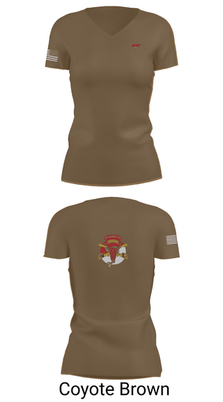 Womens Short Sleeve Vneck Shirt, 1/113 CAV B-Troop, Army, Teamtime, Team time, sublimation, custom sports apparel, team uniforms, spirit wear, spiritwear, sports uniforms, custom shirts, team store, custom team store, fundraiser sports, apparel fundraiser