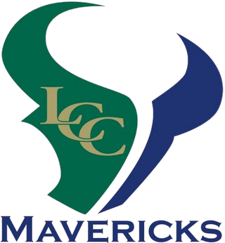 La Costa Canyon Mavericks Football 75802919 Stainless Steel Water Bottle with a Straw Lid