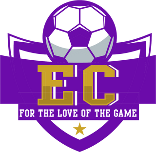 EC Soccer Stainless Steel Water Bottle with a Straw Lid