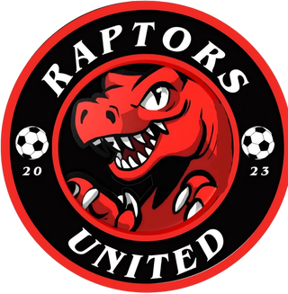 Raptors United 87880820 Stainless Steel Water Bottle with a Straw Lid