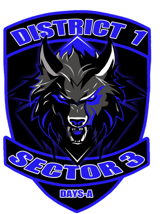 DISTRICT 1 SECTOR 3 60497467 Stainless Steel Water Bottle with a Straw Lid