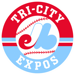 Tri-City Expos Stainless Steel Water Bottle with a Straw Lid