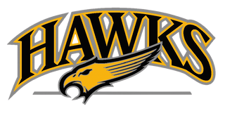 Hazelwood Central Hawks Volleyball 66580807 Stainless Steel Water Bottle with a Straw Lid