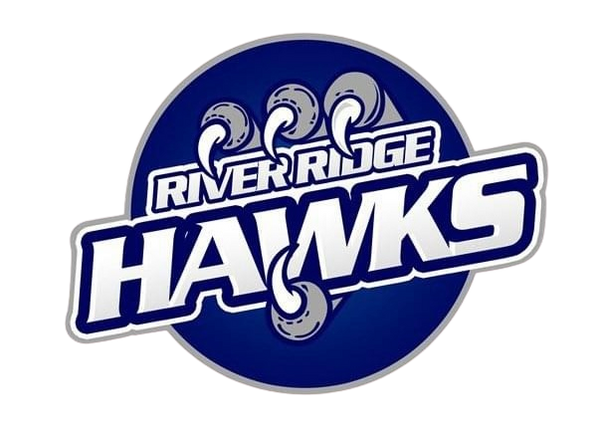 Hawks Stainless Steel Water Bottle with a Straw Lid
