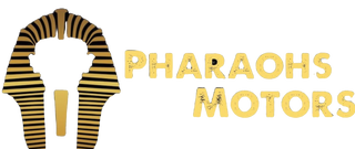 Pharaohs motors Stainless Steel Water Bottle with a Straw Lid