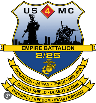 Echo Co. 2nd battalion, 25th Marine Regiment 27533051 Stainless Steel Water Bottle with a Straw Lid