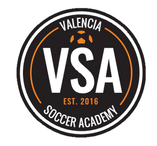 Valencia Soccer Academy 58045684 Stainless Steel Water Bottle with a Straw Lid