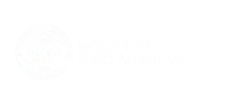 Mount St Mary Academy Dance 28336697 Stainless Steel Water Bottle with a Straw Lid