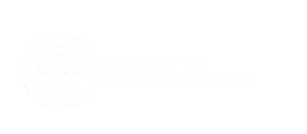 Mount St Mary Academy Dance 28336697 Stainless Steel Water Bottle with a Straw Lid