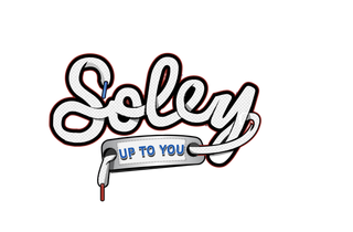 Soley Stars 10913718 Stainless Steel Water Bottle with a Straw Lid