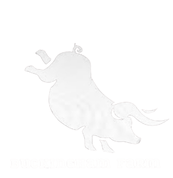Buckingham Farm 88271968 Stainless Steel Water Bottle with a Straw Lid