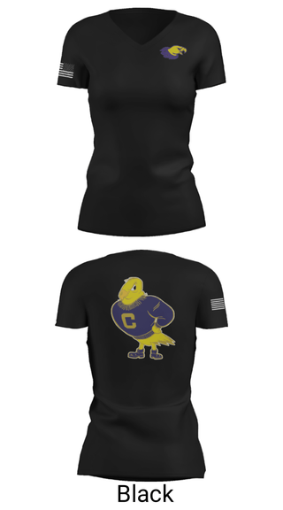 Women's Short Sleeve Vneck Shirt, California High School Volleyball, Women's Volleyball, Teamtime, Team time, sublimation, custom sports apparel, team uniforms, spirit wear, spiritwear, sports uniforms, custom shirts, team store, custom team store, fundraiser sports, apparel fundraiser