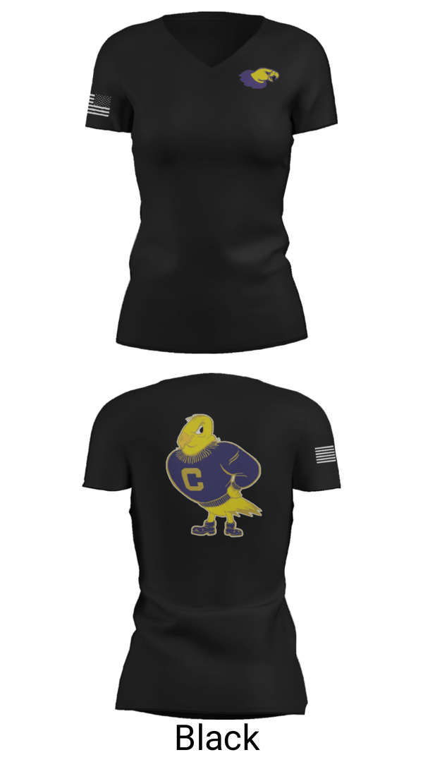 Women's Short Sleeve Vneck Shirt, California High School Volleyball, Women's Volleyball, Teamtime, Team time, sublimation, custom sports apparel, team uniforms, spirit wear, spiritwear, sports uniforms, custom shirts, team store, custom team store, fundraiser sports, apparel fundraiser