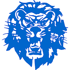 Washington Blue Lions Football 10104839 Stainless Steel Water Bottle with a Straw Lid