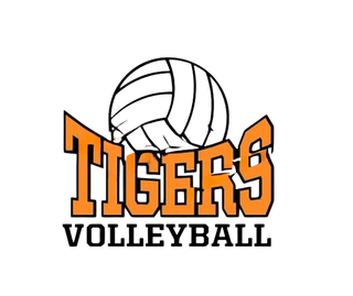 Tigers Stainless Steel Water Bottle with a Straw Lid