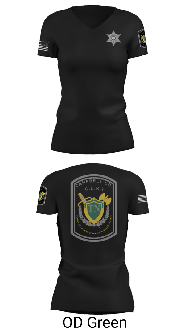 Women's Short Sleeve Vneck Shirt, , Police, Teamtime, Team time, sublimation, custom sports apparel, team uniforms, spirit wear, spiritwear, sports uniforms, custom shirts, team store, custom team store, fundraiser sports, apparel fundraiser
