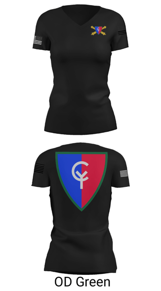 Women's Short Sleeve Vneck Shirt, , National Guard, Teamtime, Team time, sublimation, custom sports apparel, team uniforms, spirit wear, spiritwear, sports uniforms, custom shirts, team store, custom team store, fundraiser sports, apparel fundraiser