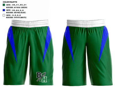 Blue Hills Regional Tech School Basketball 89604210 Baseball Pants - 1