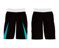Pioneer Valley HS Panthers 49239487 Mens Soccer Shorts - 33