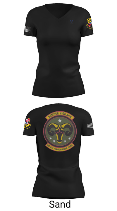Towson Composite Squadron 17976164 Women's Short Sleeve V-neck Shirt - 24