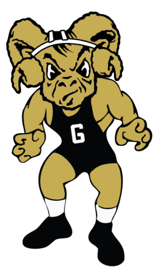 Glenwood Wrestling Club 30986087 Stainless Steel Water Bottle with a Straw Lid