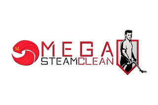 Mega Steam Clean 39304838 Stainless Steel Water Bottle with a Straw Lid