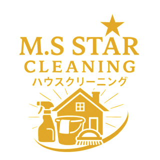M.S Star Cleaning 36822817 Stainless Steel Water Bottle with a Straw Lid