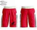 Hawk Em' Down Mens Basketball Shorts -1