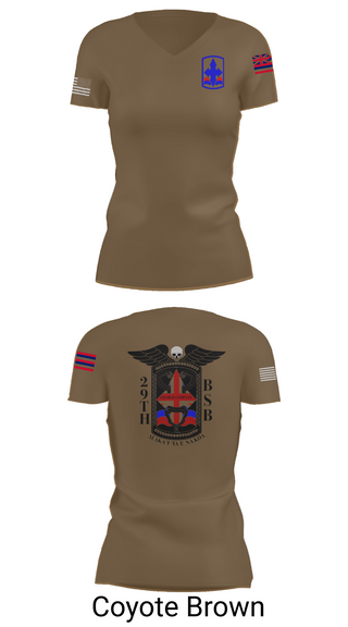 Women's Short Sleeve Vneck Shirt, C co 29 BSB, , Teamtime, Team time, sublimation, custom sports apparel, team uniforms, spirit wear, spiritwear, sports uniforms, custom shirts, team store, custom team store, fundraiser sports, apparel fundraiser