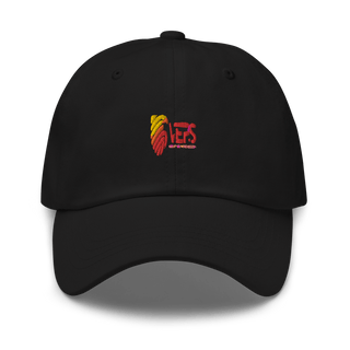 Vps 22885300  classic hat -