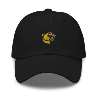 Frankfort High School Track 97612337  classic hat -