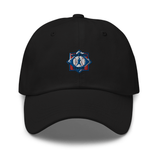 Tennessee State Babe Ruth League 69755727  classic hat -