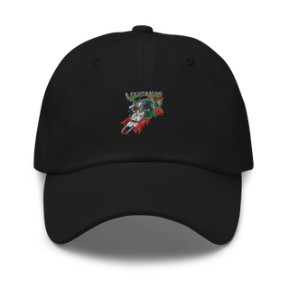 SAN FRANCISCO PARNASSUS BASKETBALL 22847837  classic hat -