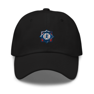Kentucky Western Babe Ruth League District 8 70105153  classic hat -