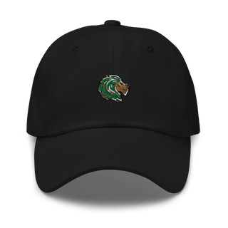 Denton Calvary Academy 61911508  classic hat -