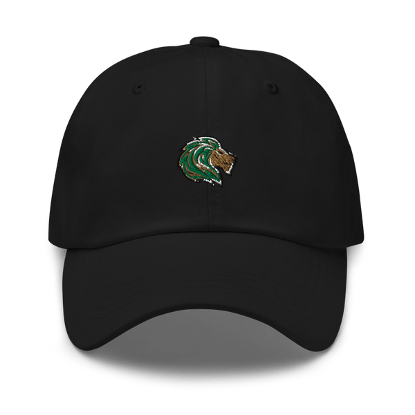 Denton Calvary Academy 61911508  classic hat -