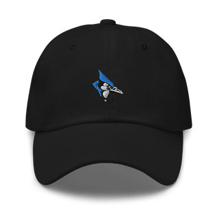 Oak Ridge R-6 High School 85998185  classic hat -
