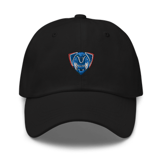 Central Linn Senior High School Volleyball 2014304  classic hat -
