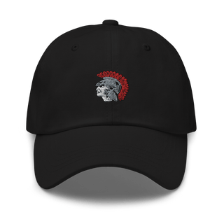 Southeastern Senior High School Cross Country 55292636  classic hat -