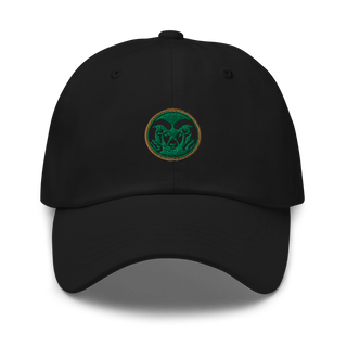 Sylvania High School Cheer 42424499  classic hat -
